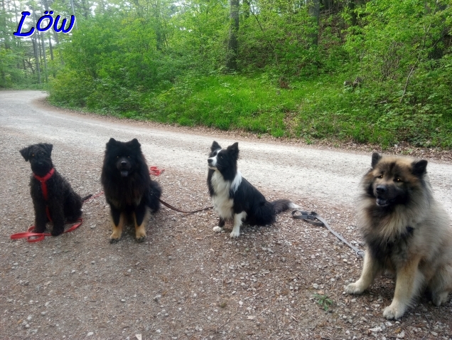 22.4.2025 - Herkules, Howard Iva und Dwix